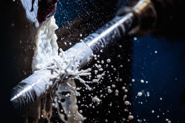 Schleifen 2 Schleifen 2